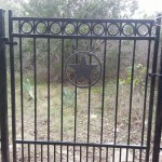iron fence with decorative rings and Puppy bars
