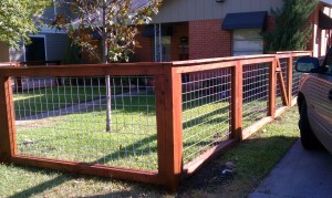 Bull Panel Framed on both sides