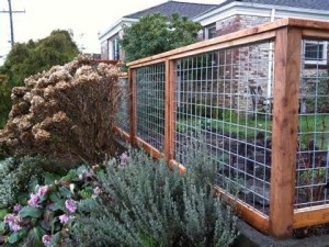 bull panel fence